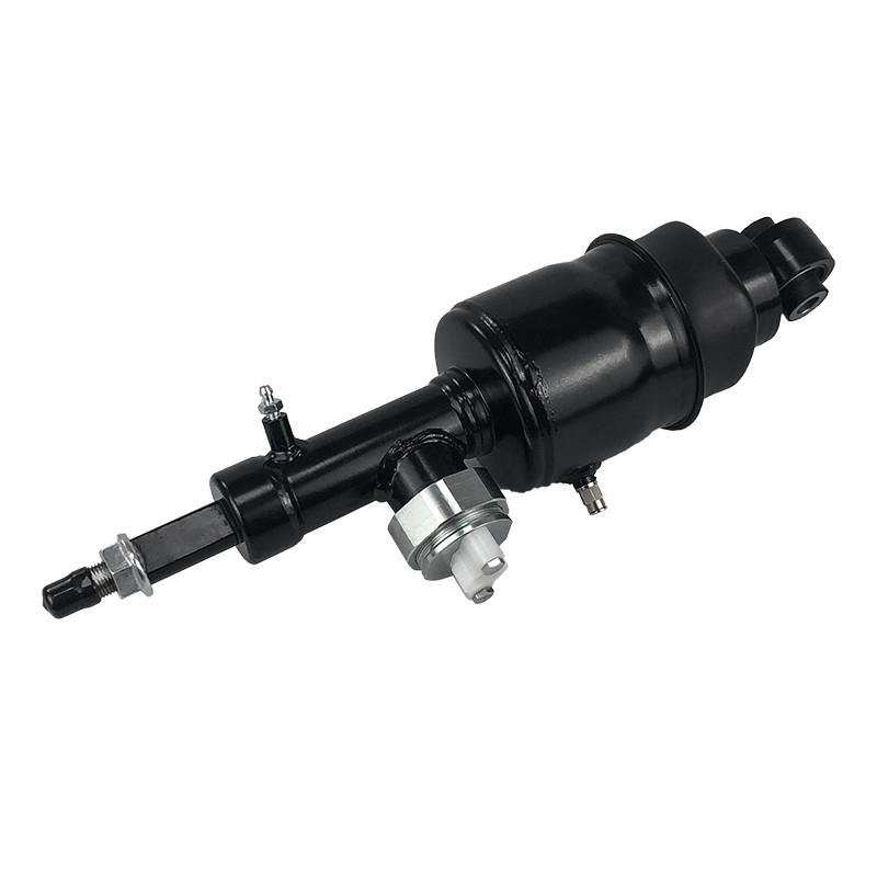 شوک تعلیق هوا عقب برای نیسان گشت آرماندا انفینتی QX80 QX56 2010-2021