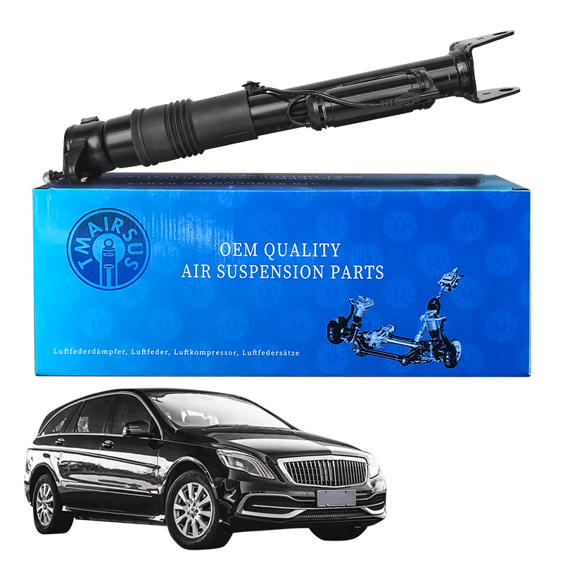 مواد لاستیکی فولادی معلق هوا عقب با ADS 2513201931 برای مرسدس بنز W251/R300