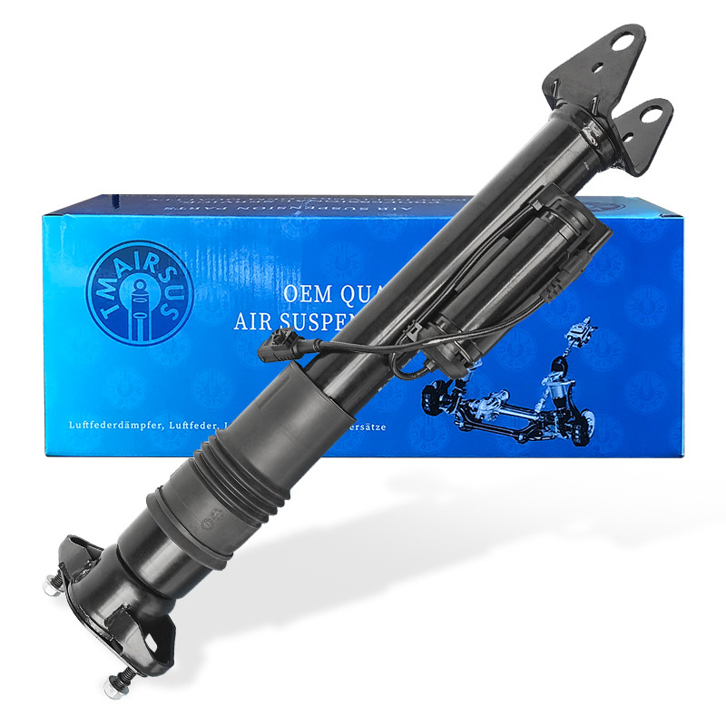 تعمیر / تعویض تعویق هوا فشار گاز شوک نوع مرسدس بنز W251/R300 عقب 2513201931 2513202231 2513203013