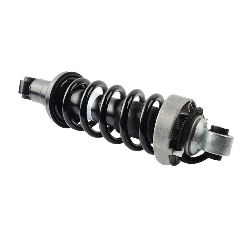 آئودی R8 عقب چپ راست ADS کمک فنر تعلیق بادی 420512019AL 420412020AG Airmatic